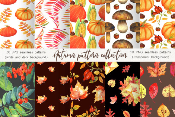 Autumn Pattern Collection & Illustrations