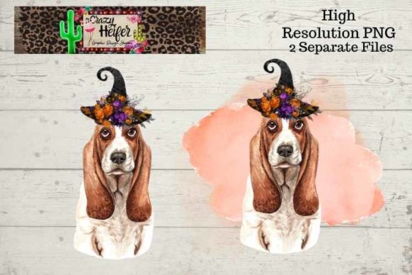 Basset Hound Halloween Witch Illustrations