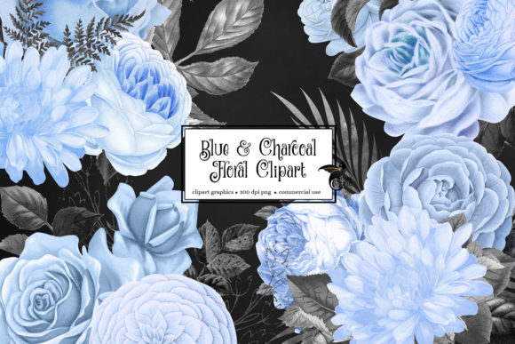 Blue and Charcoal Floral Clipart Illustrations