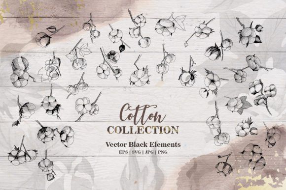 Cotton Collection Set Illustrations