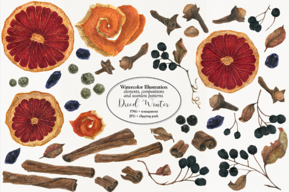 Dried Winter 1 Illustrations