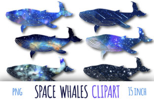 Galaxy Whales Clipart and Illustrations