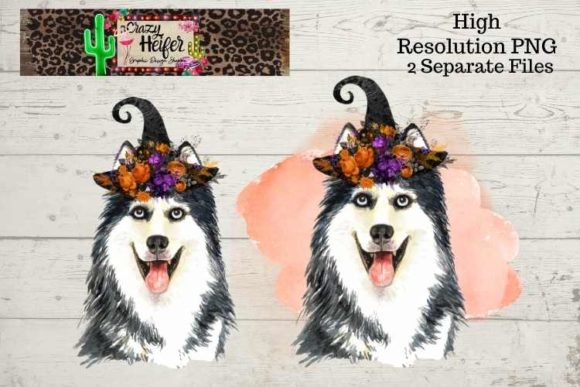 Huskie Halloween Witch PNG for Illustrations