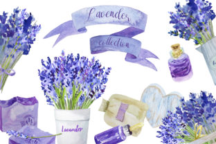 Lavender Collection Illustrations