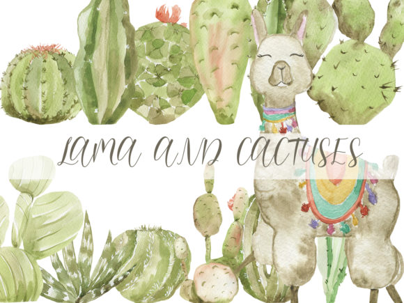 Llama and Cactuses Illustrations