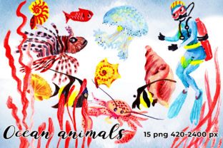 Ocean Animals Illustrations
