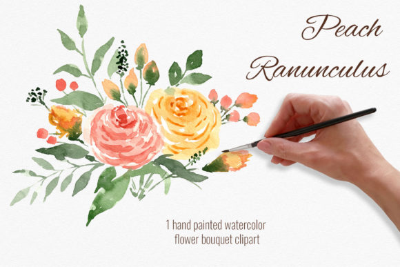 Peach Flowers Bouquet. Ranunculus Illustrations