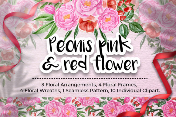 Peonies Pink and Red Flower Illustration