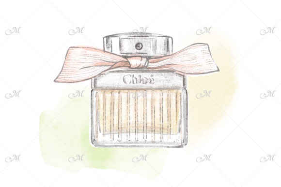Perfume Bottle Hand Drawn Illustration