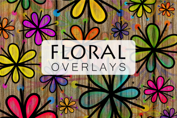 Pretty Doodle Daisy Flower Overlays and Illustrations