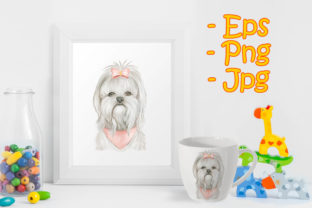 Puppy Maltese Dog Cute with Ribbon Illustrations