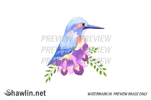 Purple Orchids and Kingfisher Illustrations