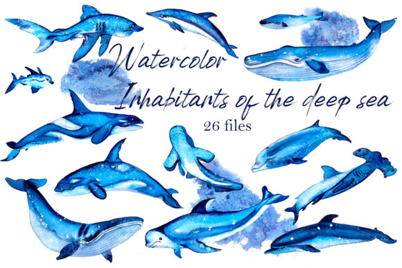 Residents of Deep Water Clipart and Illustrations