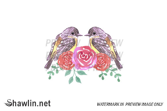 Romantic Birds Yellow Robins Illustrations