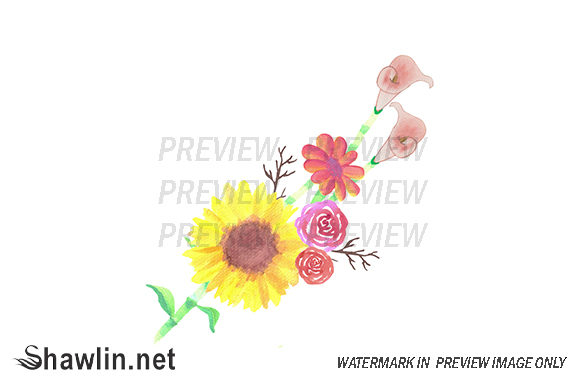 Sunflowers and Roses Illustrations