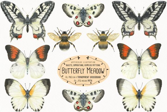 The Butterfly Meadow