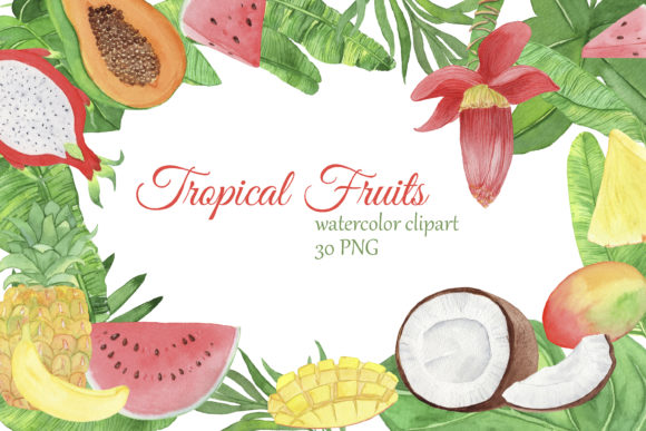 Tropical Fruits Summer Clipart & Illustrations