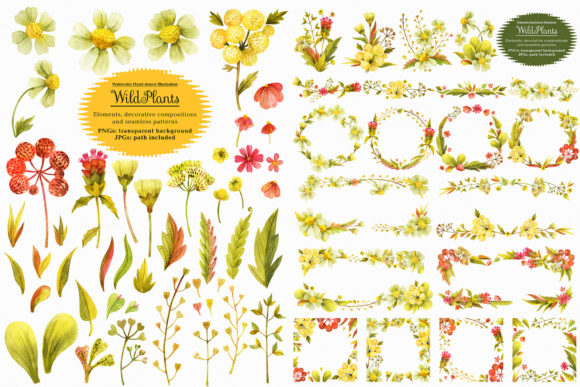 Wild Plants Illustrations